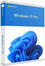 Microsoft Windows 11 Pro, HAV-00163, 64 Bit, USB