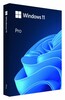 Microsoft Windows 11 Professional, HAV-00209, BOX, USB, PL
