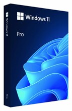 Microsoft Windows 11 Professional, HAV-00209, BOX, USB, PL
