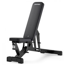 Reguleeritav treeningpink Zipro Pumpiron