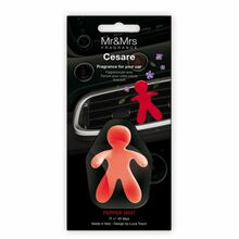 Auto õhuvärskendaja Mr&Mrs Fragrance Cesare Pepper Mint, 1 tk