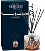 Aroomidifuusor Maison Berger Paris Spirale amber, 222 ml