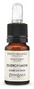 Kodulõhna ekstrakt Erbolinea Zenzero E Limone, 10 ml