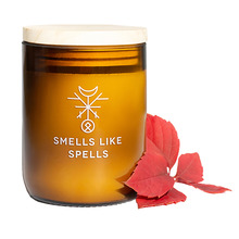 Lõhnaküünal Smells Like Spells Idunn, 250 g