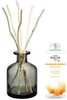 Kingikomplekt Maison Berger Paris Aroma Energy difuusor hall + täitepudel Fresh tonic, 200 ml