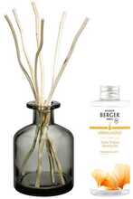 Kingikomplekt Maison Berger Paris Aroma Energy difuusor hall + täitepudel Fresh tonic, 200 ml