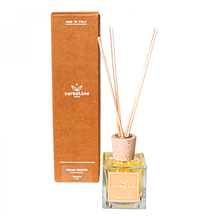 Kodulõhnastaja Carbaline Ginger, 100 ml