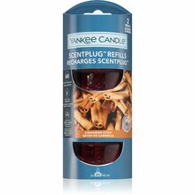Lõhnatäidis Yankee Candle Cinnamon Stick, 2 x 18,5 ml
