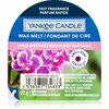 Aroomivaha Yankee Candle Wild Orchid, 22 g, lilla
