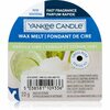 Aroomivaha Yankee Candle Vanilla Lime, 22 g