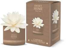Aroomidifuusor Sweet Home Collection Cashmere & Vanilla Bourbon, 200 ml