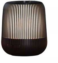 Eeterlike õlide difuusor Pranarom Pop