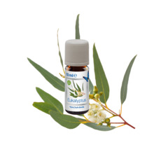 Ökoloogiline eukalüpti lõhn Venta 6047000, 3 x 10 ml