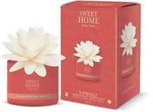 Aroomidifuuser Sweet Home Collection Sandalwood & Soft Incense, 200 ml