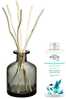 Kingitus Maison Berger Paris Aroma Happy difuusor hall + täitepudel Veevärskus, 180 ml