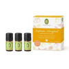 Eeterlike õlide komplekt Primavera Joy of Citrus, 3 x 5 ml