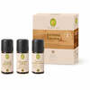 Aroomisauna avastuste komplekt Primavera Strength & Calmness, 3 tk