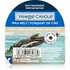 Aroomivaha Yankee Candle Amber & Sandalwood, 22 g