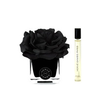 Kingitus Herve Gambs: Terre Depices, ruumilõhnastaja, 10 ml + Black, Aroma Reed Diffuser, Black