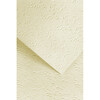 Dekoratiivpaber Galeria Papieru Nature, A4, heledapruun, 220 g/m, 20 lehte