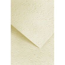 Dekoratiivpaber Galeria Papieru Nature, A4, heledapruun, 220 g/m, 20 lehte