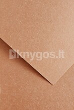 Dekoratiivpaber OFFICE PRODUCTS WOOD A4, 220 g/m, roosapulber, 20 lehte