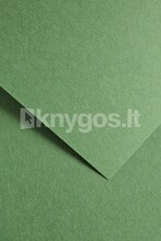 Dekoratiivpaber Galeria Papieru Earth A4, roheline, 220 g/m2, 20 lehte