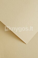 Dekoratiivpaber Galeria Papieru WOOD A4, 220 g/m, kreem, 20 lehte