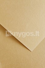Dekoratiivpaber OFFICE PRODUCTS WOOD A4, liivakarva, 220 g/m, 20 lehte