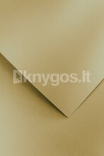 Dekoratiivpaber Office Products Pearl A4, kuldne, 210 g/m, 20 lehte