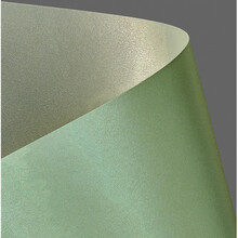 Dekoratiivpaber Galeria Papier PRIME A4, roheline-kreemjas, 220 g, 20 lehte