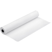 Fotopaber Epson Premium Photo Paper Roll C13S041638PA, 610 mm x 30.5 m, läikiv