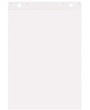 Tahvliplokk Forofis, 600 x 850 mm, 50 lehte