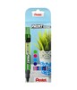 Püsivmarkerite komplekt Pentel, 4 mm, 4 tk