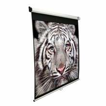 Ekraan projektorile Elite Screens M84NWV, 170 x 127 cm, valge, 4:3
