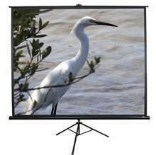 Projektori ekraan Elite Screens T119UWS1, 119 cm, 1:1, must