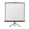 Ekraan projektorile Reflecta Crystal-Line Tripod, 240 x 240 cm
