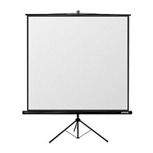 Ekraan projektorile Reflecta Crystal-Line Tripod, 240 x 240 cm