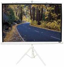 Projektori ekraan Elite Screens T99NWS1, 178 x 178 cm, valge