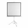 Projektoriekraan Sbox PSMT-135-2, 240 x 240 cm