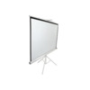 Ekraan projektorile Elite Screens T85NWS1, 152 x 152 cm, valge