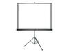 Ekraan projektorile Grandview Charming Portable, 60 tolli, 1:1