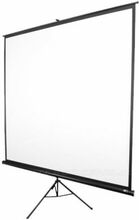 Projektori ekraan Elite Screens T85NWS1, 85 tolli, 1:1, 152 cm, valge