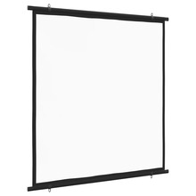 Projektoriekraan Hod Health&Home, 160 cm, 1:1