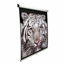 Projektoriekraan Elite Screens M80NWV, 163 cm, valge, 4:3