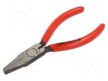 Lamedate otstega tangid Knipex 2001125, 125 mm