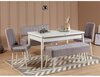 Söögitoa toolide komplekt Kalune Design Vina 0701, 5 tk, valge/hall