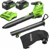 Akuga lehepuhur-imur Greenworks BL48L421-01 2x24 V 2x4,0 Ah aku