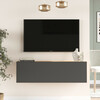 TV-alus Hanah Home FR12-AA, must, 100 x 29,1 x 29,6 cm