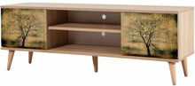 TV-laud Kalune Design Truva 729, 40 x 140 x 50 cm, tamme/beež